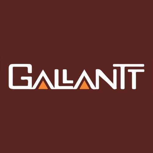 GALLANT ISPAT PRIVATE LIMITED